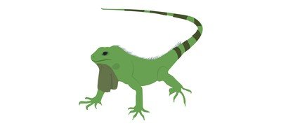 Image for Lizard Agamidae Wild Animal Cricut SVG Design