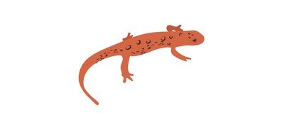 Image for Lizard Agamidae Wild Animal Cricut SVG Design