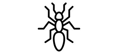 Image for Free Ant Bug Insect Cricut SVG Design