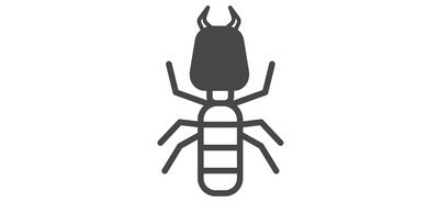 Image for Ant Termite Insect Cricut SVG Design