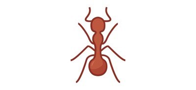 Image for Ant Colony Sugar Cricut SVG Design