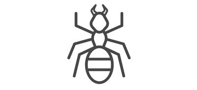 Image for Ant Bug Insect Cricut SVG Design