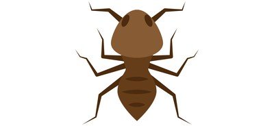 Image for Ant  Cricut SVG Design