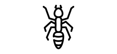 Image for Ant  Cricut SVG Design