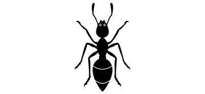 Image for Ant Beetle Bug Cricut SVG Design