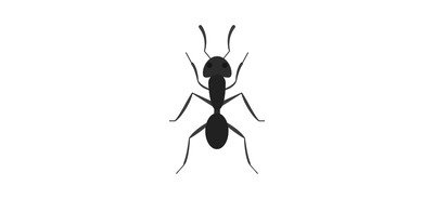 Image for Ant Animal Wildlife Cricut SVG Design