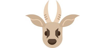 Image for Antelope  Cricut SVG Design