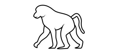 Image for Baboon Nature Fauna Cricut SVG Design