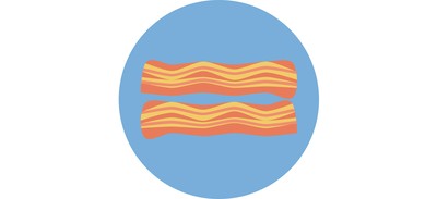 Image for Bacon Meat Cure Cricut SVG Design