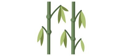 Image for Ibamboo Bamboo Tree Cricut SVG Design