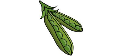 Image for Bean Colour Green Cricut SVG Design