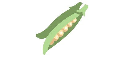 Image for Food Bean Vegetable Cricut SVG Design