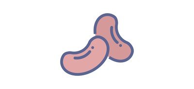 Image for Bean  Cricut SVG Design