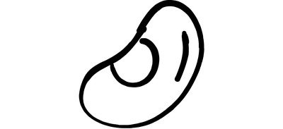 Image for Bean Grain Healthy Cricut SVG Design