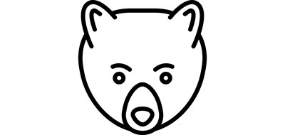 Image for Bear Animal Panda Cricut SVG Design