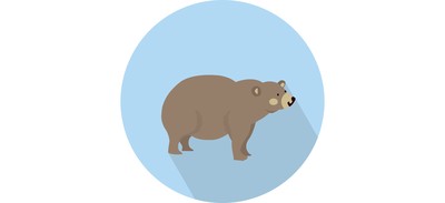 Image for Free Vector Illustration Bird Cricut SVG Design