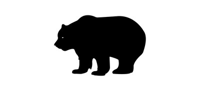 Image for Animal Bear Wild Animal Cricut SVG Design