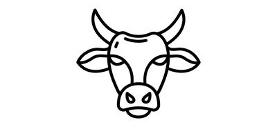 Image for Beef Bull Cow Cricut SVG Design