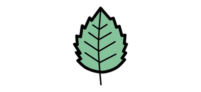 Image for Birch Nature Leaf Cricut SVG Design