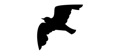 Image for Bird Of Prey Cricut SVG Design