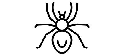 Image for Black Spider Insect Arachnid Cricut SVG Design