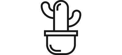 Image for Cactus Decoration Flower Cricut SVG Design