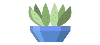 Image for Cactus Century Cactus Cactus Pot Cactus Plant Cricut SVG Design