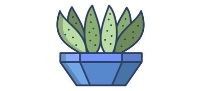 Image for Cactus Century Cactus Cactus Pot Cactus Plant Cricut SVG Design