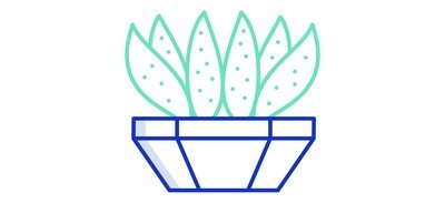 Image for Cactus Century Cactus Cactus Pot Cactus Plant Cricut SVG Design