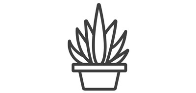 Image for Free Cactus Plant Succulent Bowl Cactaceae Plant Cricut SVG Design