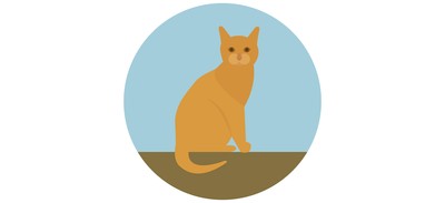 Image for Cat Animal Pet Cricut SVG Design