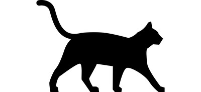 Image for Cat Cricut SVG Design