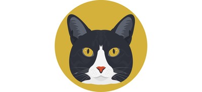 Image for Cat Feline Face Cricut SVG Design