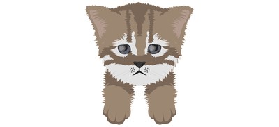 Image for Cat Cat Face Pet Cricut SVG Design