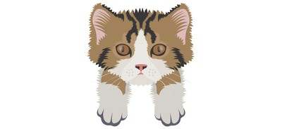 Image for Cat Cat Face Pet Cricut SVG Design