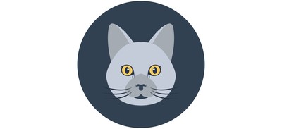 Image for Cat Feline Coon Cricut SVG Design