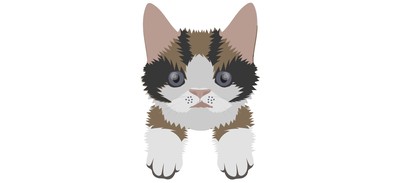 Image for Cat Cat Face Pet Cricut SVG Design