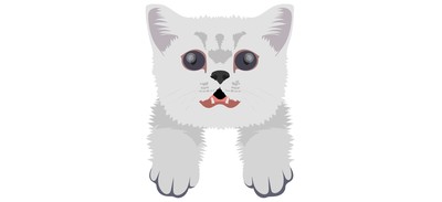 Image for Cat Cat Face Pet Cricut SVG Design