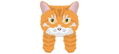 Image for Cat Cat Face Pet Cricut SVG Design