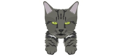 Image for Cat Cat Face Pet Cricut SVG Design