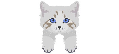 Image for Cat Cat Face Pet Cricut SVG Design