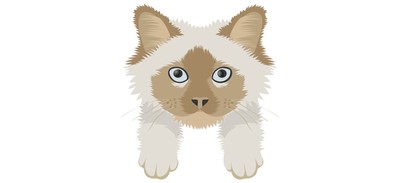 Image for Cat Cat Face Pet Cricut SVG Design