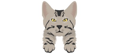 Image for Cat Cat Face Pet Cricut SVG Design