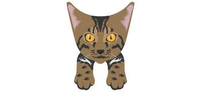 Image for Cat Cat Face Pet Cricut SVG Design