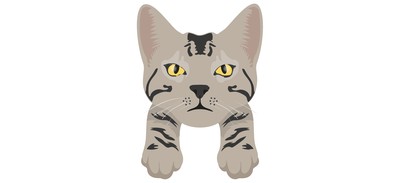 Image for Cat Cat Face Pet Cricut SVG Design