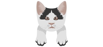 Image for Cat Cat Face Pet Cricut SVG Design