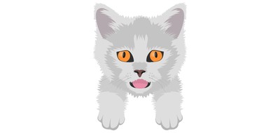 Image for Cat Cat Face Pet Cricut SVG Design