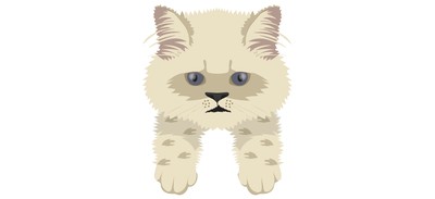 Image for Cat Cat Face Pet Cricut SVG Design