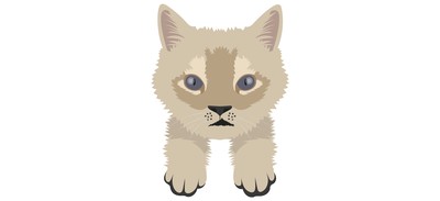 Image for Cat Cat Face Pet Cricut SVG Design