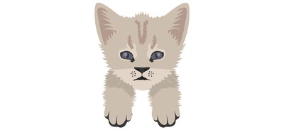 Image for Cat Cat Face Pet Cricut SVG Design